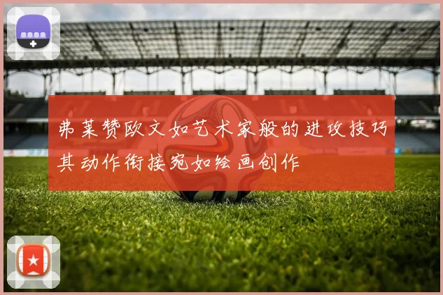 弗莱赞欧文如艺术家般的进攻技巧其动作衔接宛如绘画创作